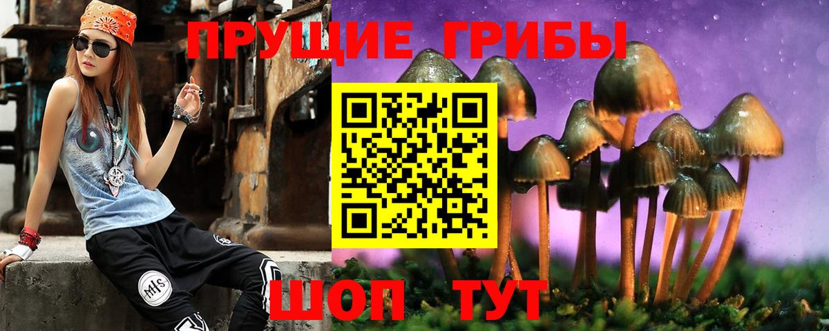Галлюциногенные грибы ЛСД  Псилоцибиновые грибы Cubensis  Камышин  Вход с VPN 